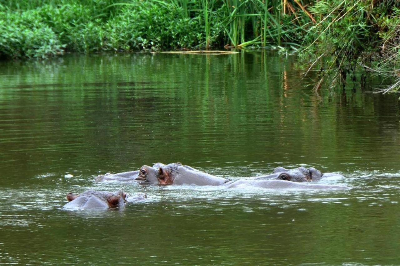 Legend Safaris 257A - In Kruger Park Lodge Hazyview Esterno foto